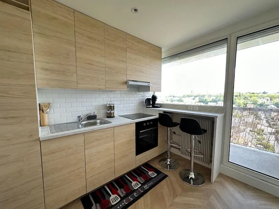 Appartement Vue Panoramique Antony, 8Mn Rer B Et C אנטוני